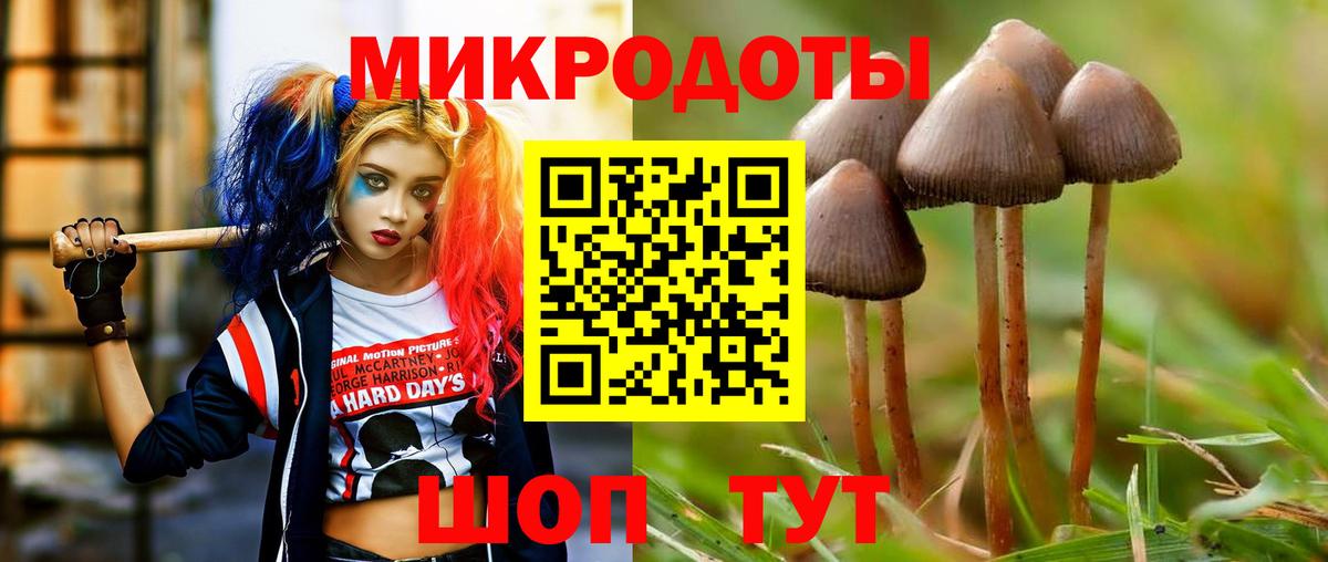 Костомукша  Псилоцибиновые грибы Psilocybe  Вход с VPN 