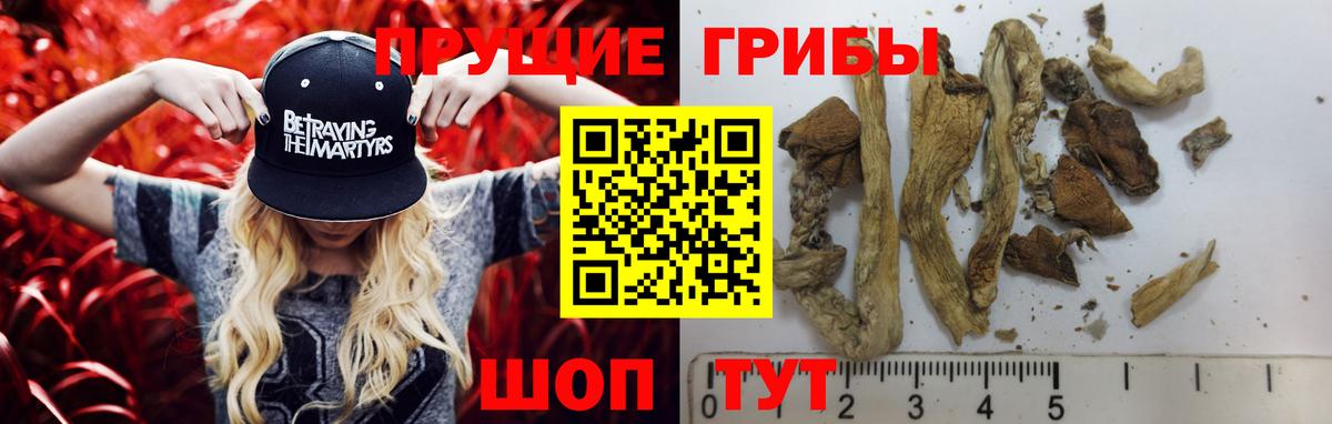 Галлюциногенные грибы мицелий Костомукша